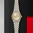 TUDOR Royal Watch - M2830A1A3-0003 at Simons Jewelers