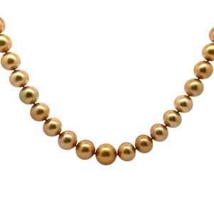 South Sea Golden Pearl Necklace