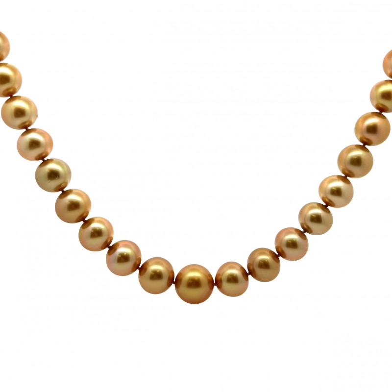 South Sea Golden Pearl Necklace